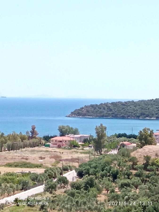 Villas Guest House Vathí Eksteriør billede